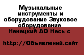 Музыкальные инструменты и оборудование Звуковое оборудование. Ненецкий АО,Несь с.